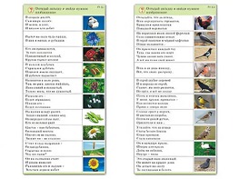 Комплект карточек (10) "Обучающий калейдоскоп. Природа" - fgospostavki.ru - Мурманск