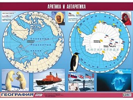 Таблица демонстрационная "Арктика и Антарктика" (винил 100*140) - fgospostavki.ru - Мурманск