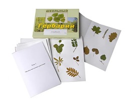 Гербарий "Морфология растений" (6 тем, 30 видов) - fgospostavki.ru - Мурманск