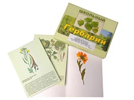 Гербарий "Систематика растений. Семейство Пасленовые. Крестоцветные. Сложноцветные" (раздаточный) - fgospostavki.ru - Мурманск