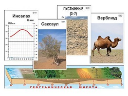 Модель-аппликация "Природные зоны" - fgospostavki.ru - Мурманск