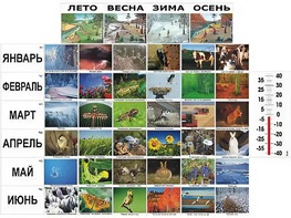 Фенологические наблюдения - fgospostavki.ru - Мурманск