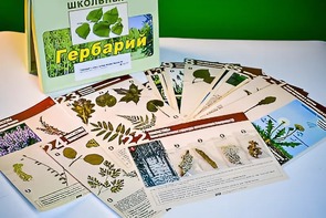 Гербарий к курсу основ общей биологии - fgospostavki.ru - Мурманск