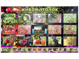 Комплект оборудования "Живой уголок" (растения) с тифлопереводом и сурдокомментариями - fgospostavki.ru - Мурманск