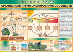 Таблица "Организация и функционирование сообществ" (100х140 сантиметров, винил) - fgospostavki.ru - Мурманск