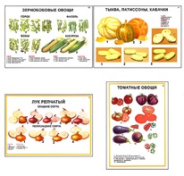 Плакаты ПРОФТЕХ "Ассортимент овощных культур" (12 пл, винил, 70х100) - fgospostavki.ru - Мурманск
