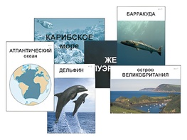 Модель-аппликация "Океаны. Знакомство" (ламинированная) - fgospostavki.ru - Мурманск