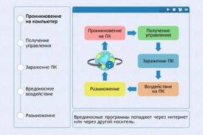 Интерактивные курсы. Информатика 10 класс . Базовый. - fgospostavki.ru - Мурманск