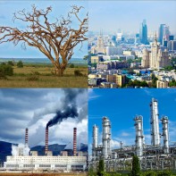 Модель-аппликация Биосфера и человек - fgospostavki.ru - Мурманск