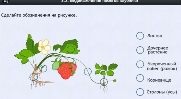 Интерактивные курсы. Биология 7 класс. Расширенный. - fgospostavki.ru - Мурманск