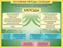 Стенд "Методы селекции и биотехнологии" - fgospostavki.ru - Мурманск