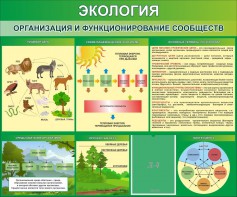 Стенд "Экология. Организация и функционирование сообществ" - fgospostavki.ru - Мурманск