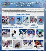Стенд "Олимпийские зимние виды спорта" - fgospostavki.ru - Мурманск