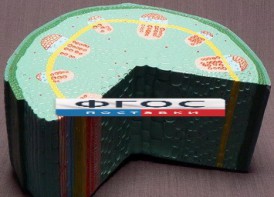 Модель "Стебель растения" - fgospostavki.ru - Мурманск