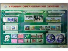 Электрифицированный стенд "Уровни организации жизни" - fgospostavki.ru - Мурманск