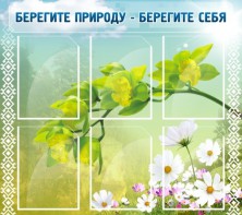 Стенд "Берегите природу - берегите себя" - fgospostavki.ru - Мурманск