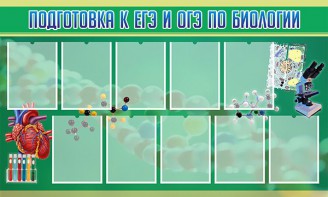 Стенд "Подготовка к ЕГЭ и ОГЭ по биологии" Вариант 2 - fgospostavki.ru - Мурманск