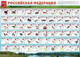 Стенд "Красная книга РФ" - fgospostavki.ru - Мурманск