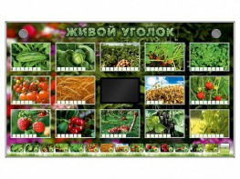 Комплект оборудования "Живой уголок" (растения) - fgospostavki.ru - Мурманск