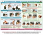 Комплект плакатов "Оказание первой доврачебной медицинской помощи" - fgospostavki.ru - Мурманск